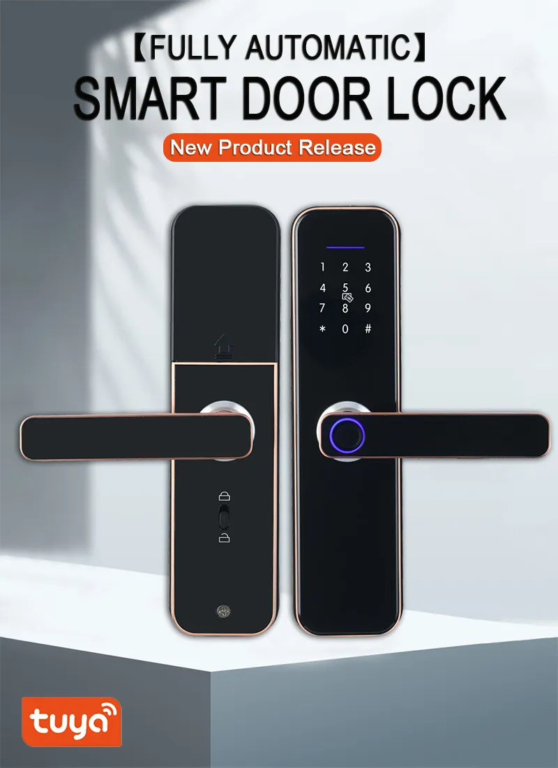 Smart Door Lock Main View