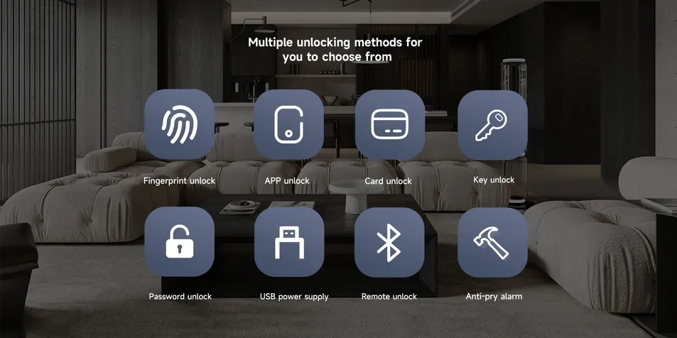 Options and Features