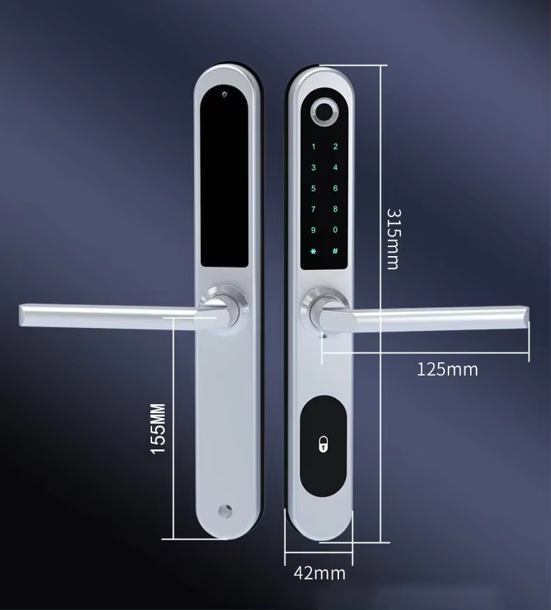 Enrique Tuya Biometric Smart Lock for Waterproof Aluminum Alloy Keypad 4 AAA Batteries Sliding Door Security Mortise Door