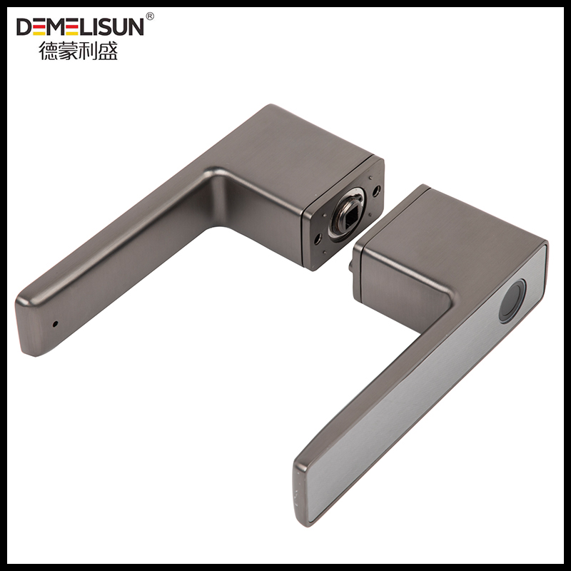 Nordic Office Entry Lever Tuya Smart Gate Fingerprint Security Smart Rim Door Locks