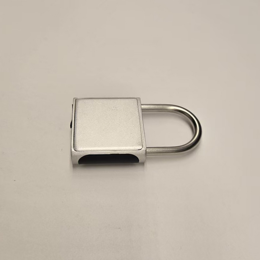 Custom Practical Smart Fingerprint Padlock Portable Self-Service Storage Security Anti-Theft Fingerprint Lock