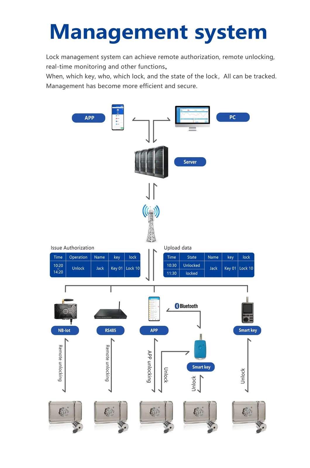 Management Software