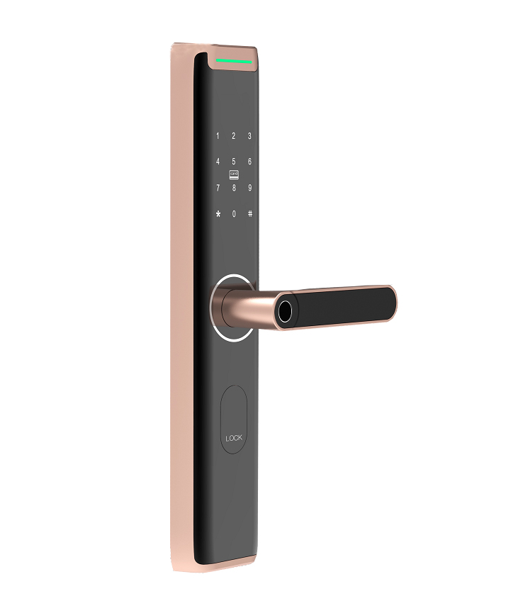 Biometrics Douwin Keyless Security Digital Fingerprint Smart Door Lock for Home or Office