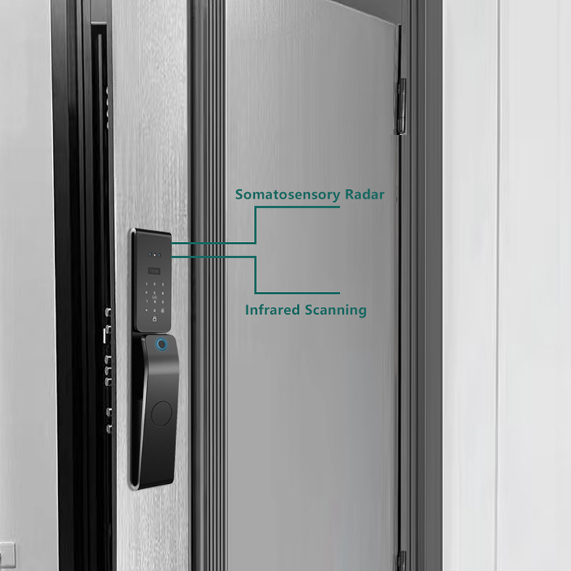 Fingerprint Password 3D Face Recognition Smart Lock Ic Card Audio-visual Anti-theft Fingerprint Smart Lock