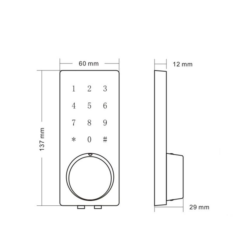 Tuya Tt APP Entrance Door Smart Lock Safety Protection Aluminium Alloy Waterproof Smart Rim Door Lock
