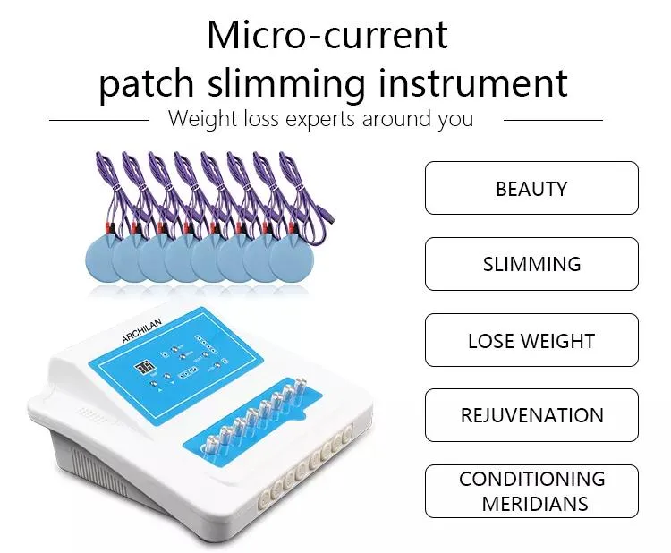 Electric Muscle Stimulator