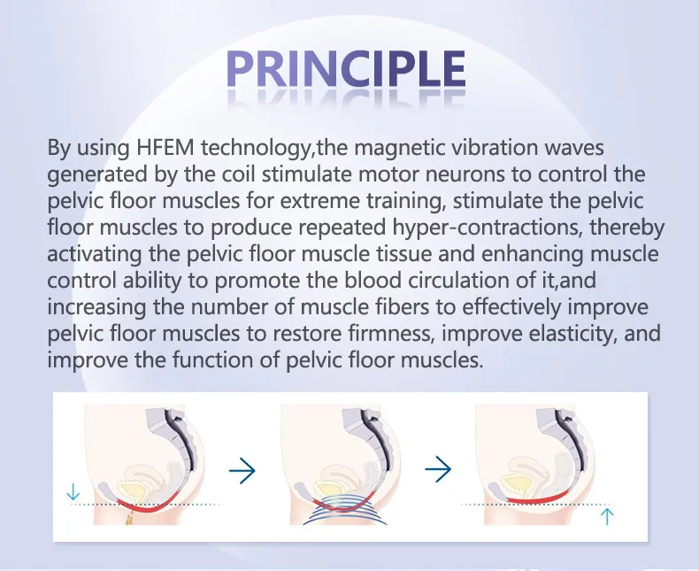 Pelvic Muscle Stimulator