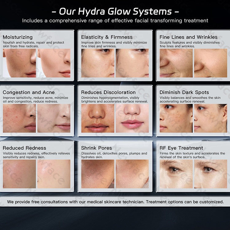 NewFace CE LVD Powerful Comprehensive High-end Skin Health Management System 12 in 1 Multi Functions Hydra Beauty Facial Machine