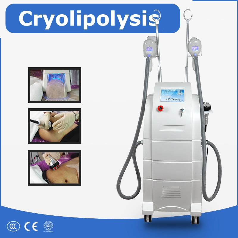 Fat Freezing Cryo Cryolipolysis Slimming Machine with Cavitation RF