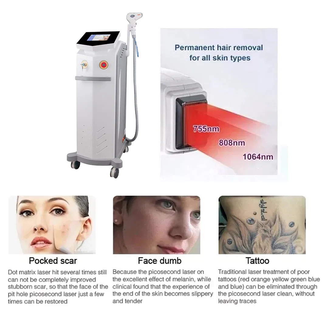 Treatment Areas