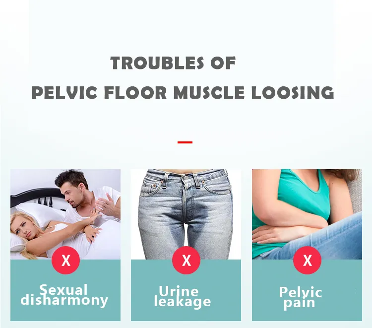Pelvic Floor Muscle Stimulator