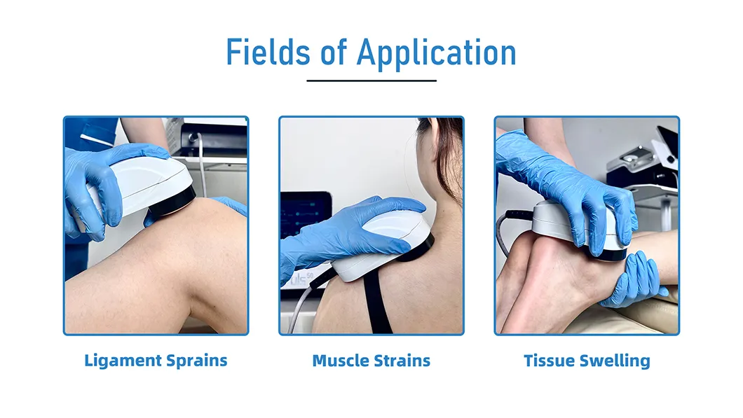 Clinical Application 2