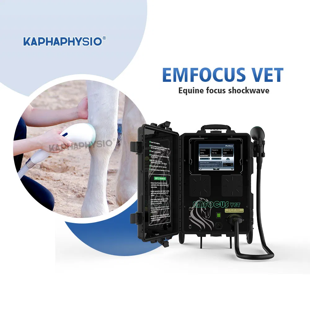 Kaphaphysio Veterinary Fswt Therapy Machine Emfocus Vet Portable Shockwave Device Pain Treatment