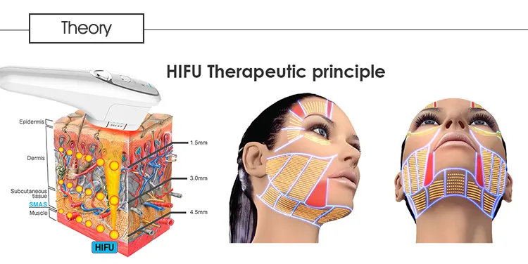 Skin Structure