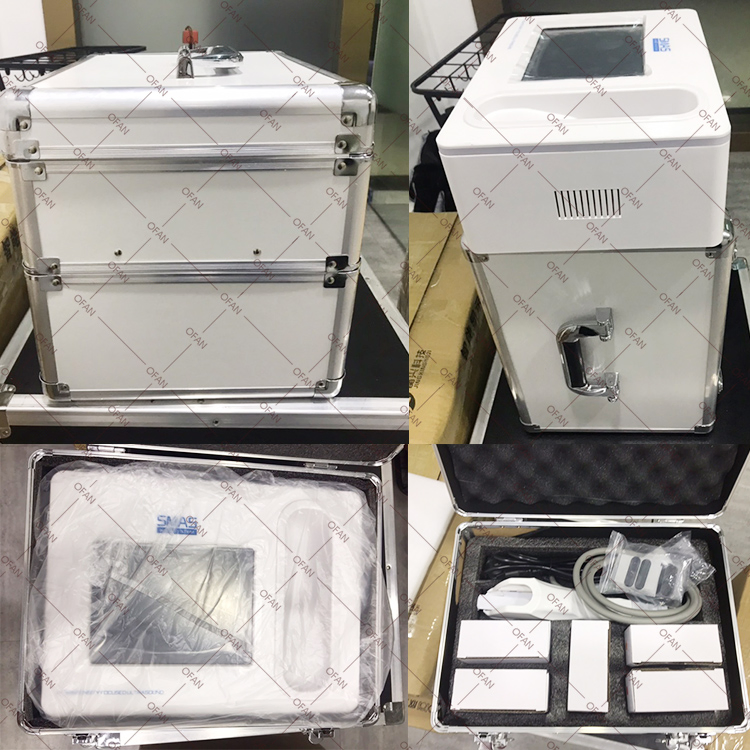 Ofan Hot Selling Portable Hifu Smas Lifting 2D 3D 4D Mini Hifu Machine / Mini Hifu