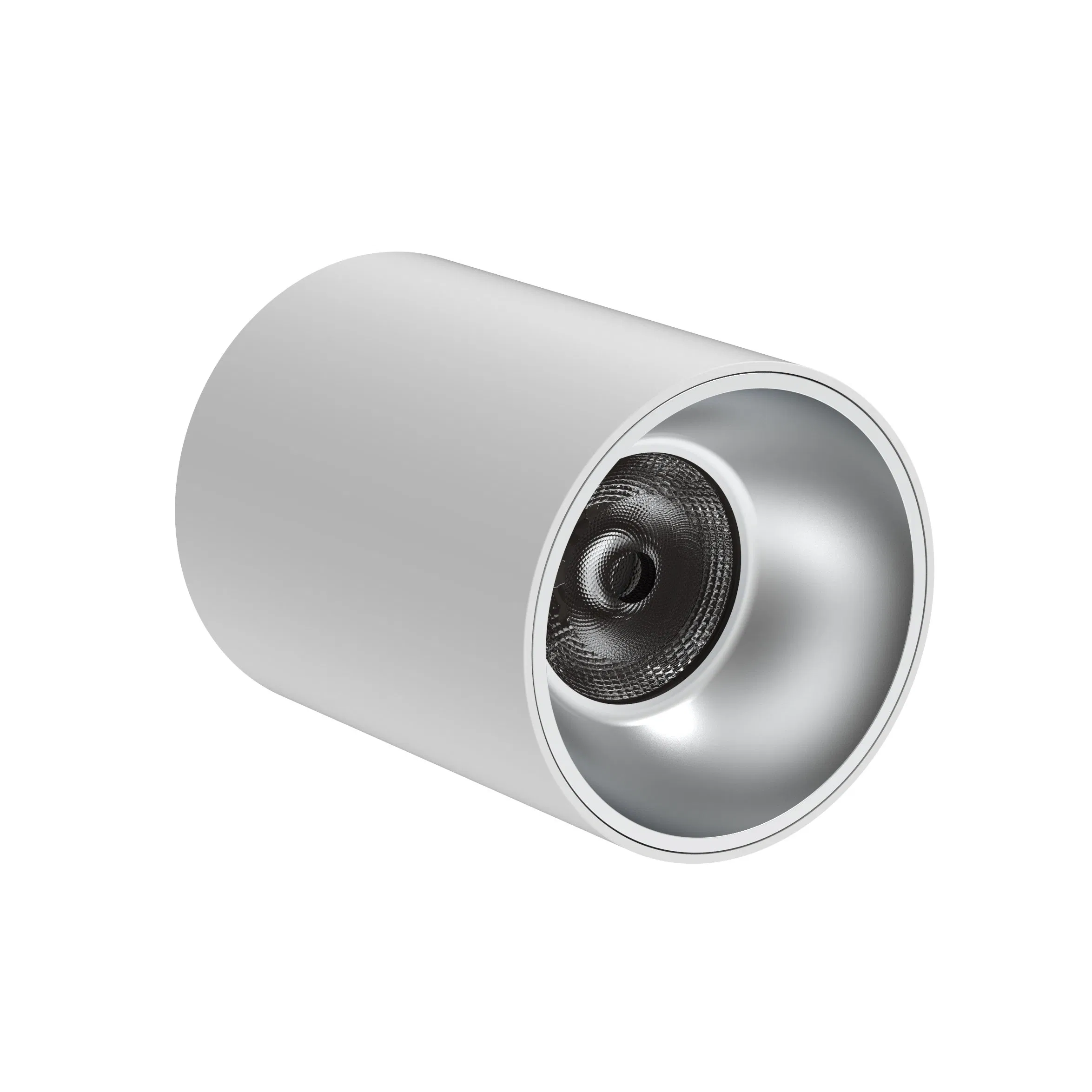 IP65 20W Commercial COB LED Multicolor Architectural Cylindrical Spot Downlight