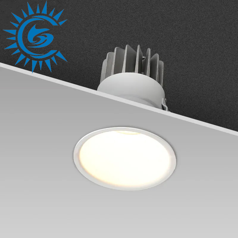 LED Spot Light Downlight 10W 20W Ceiling Recessed Adjustable COB