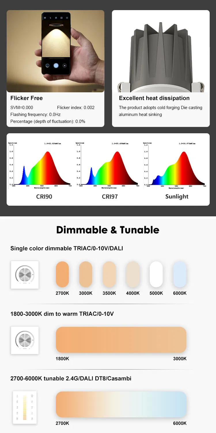 LED Downlight Spotlight
