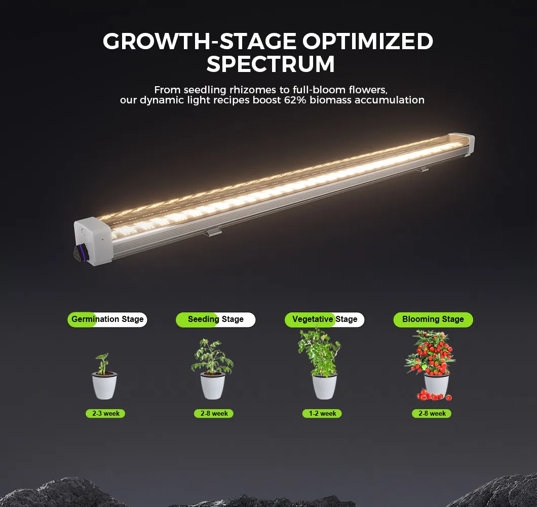 LED Grow Light Application