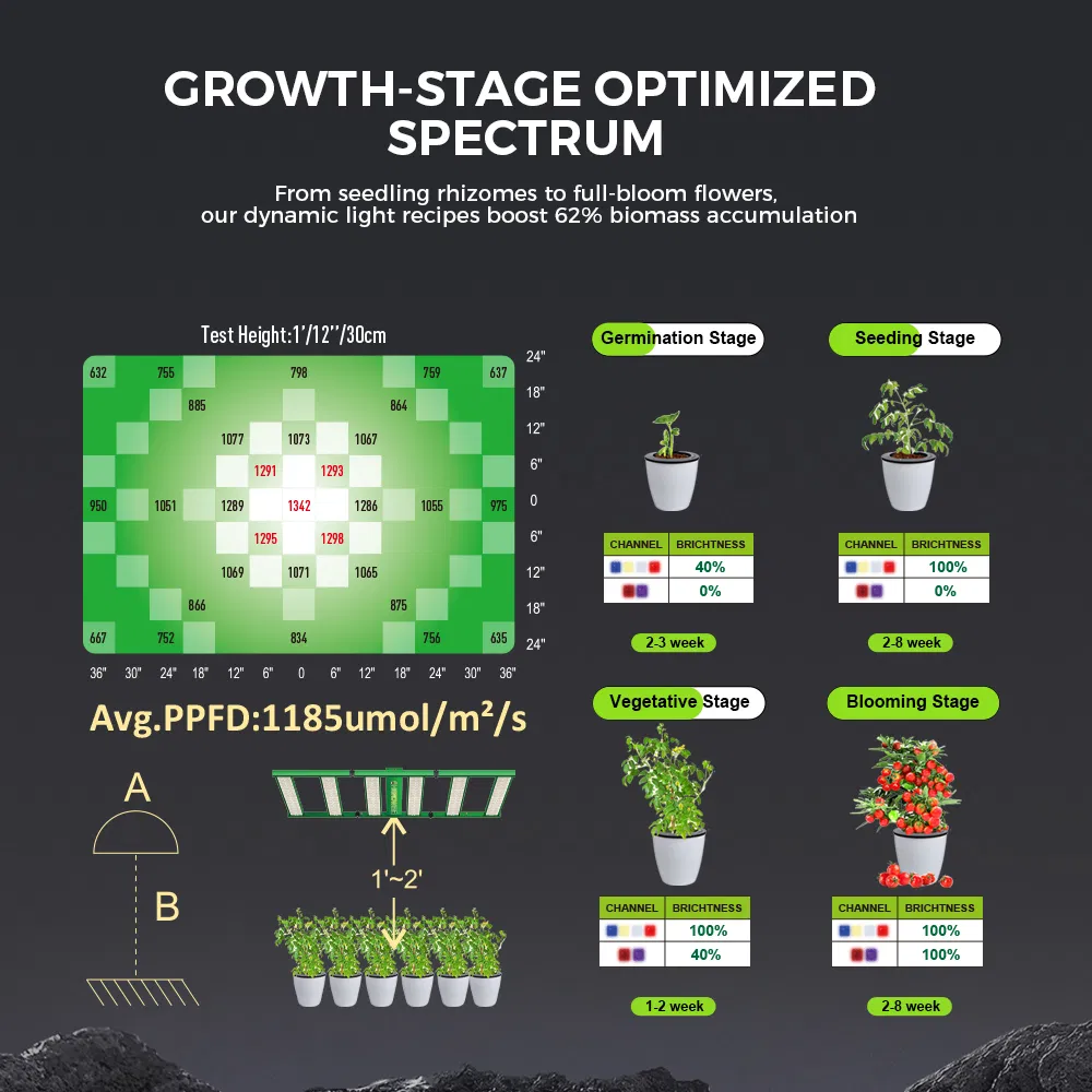 High Energy UV IR 1200W 4X6FT LED Grow Light Professional Customized Full Spectrum