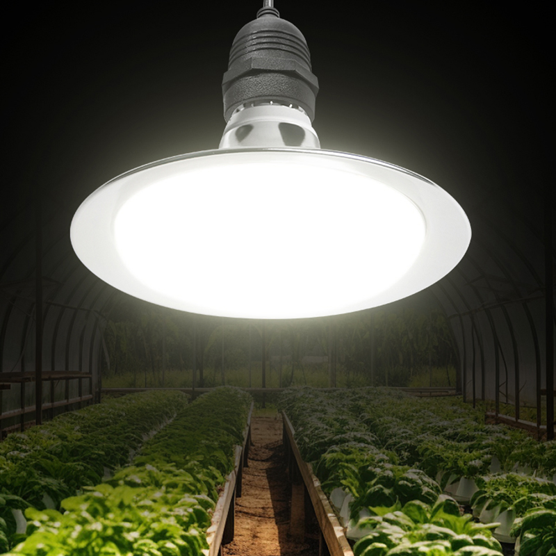 E27 String LED Grow Light Bulb Outdoor Plant Growth Spectrum Flood Light for Fruit Plant Growing
