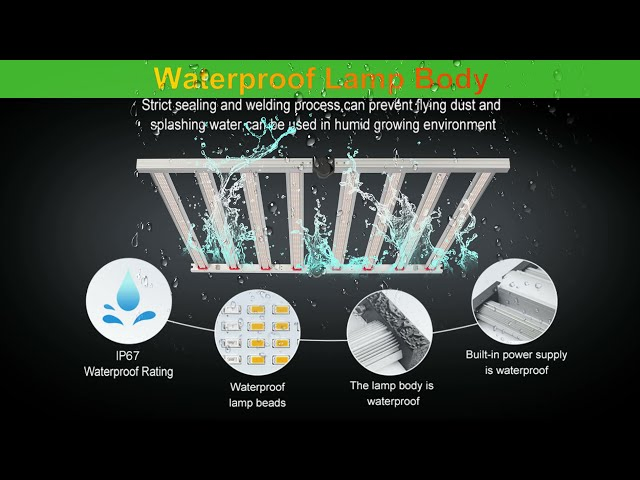 5 Years Warranty 100-277VAC 140lm/W 800W Full Spectrum LED Grow Light