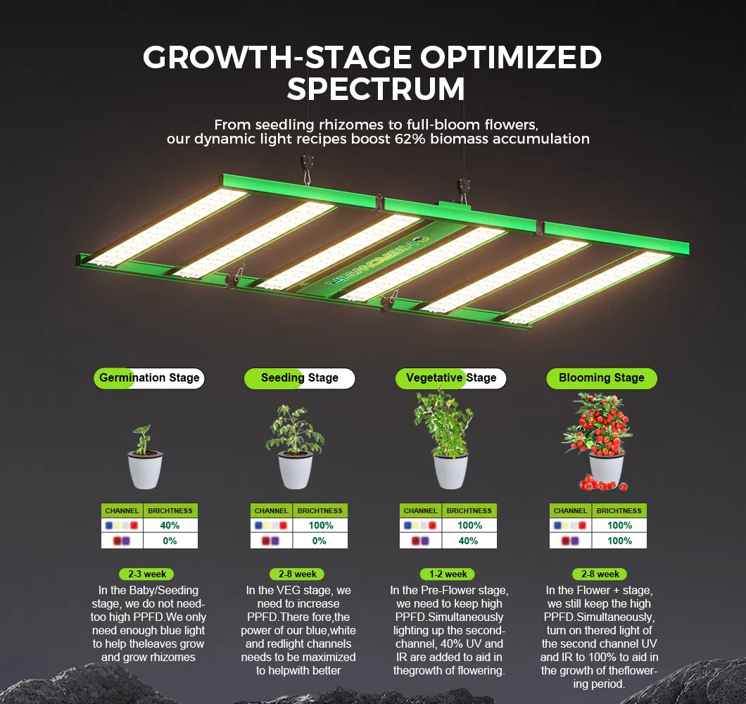 LED Grow Light 3
