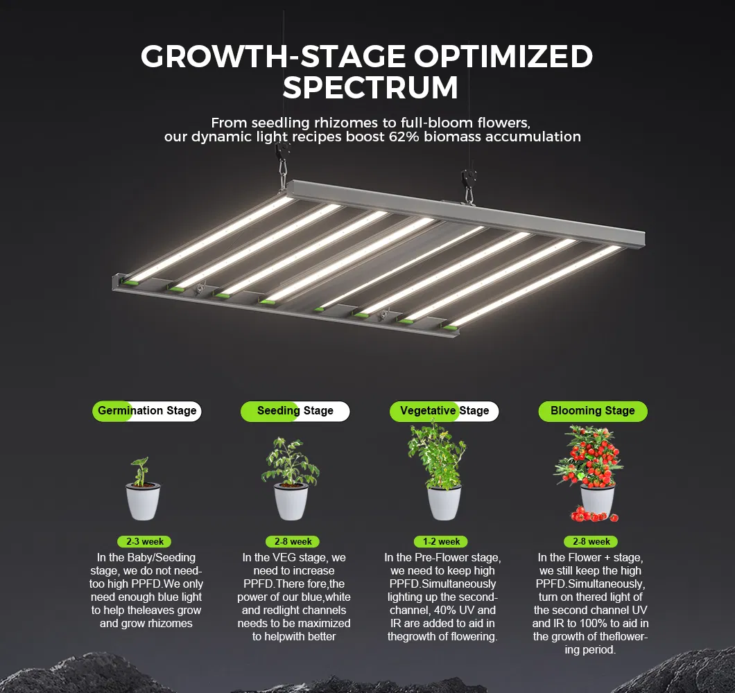 LED Grow Light 3
