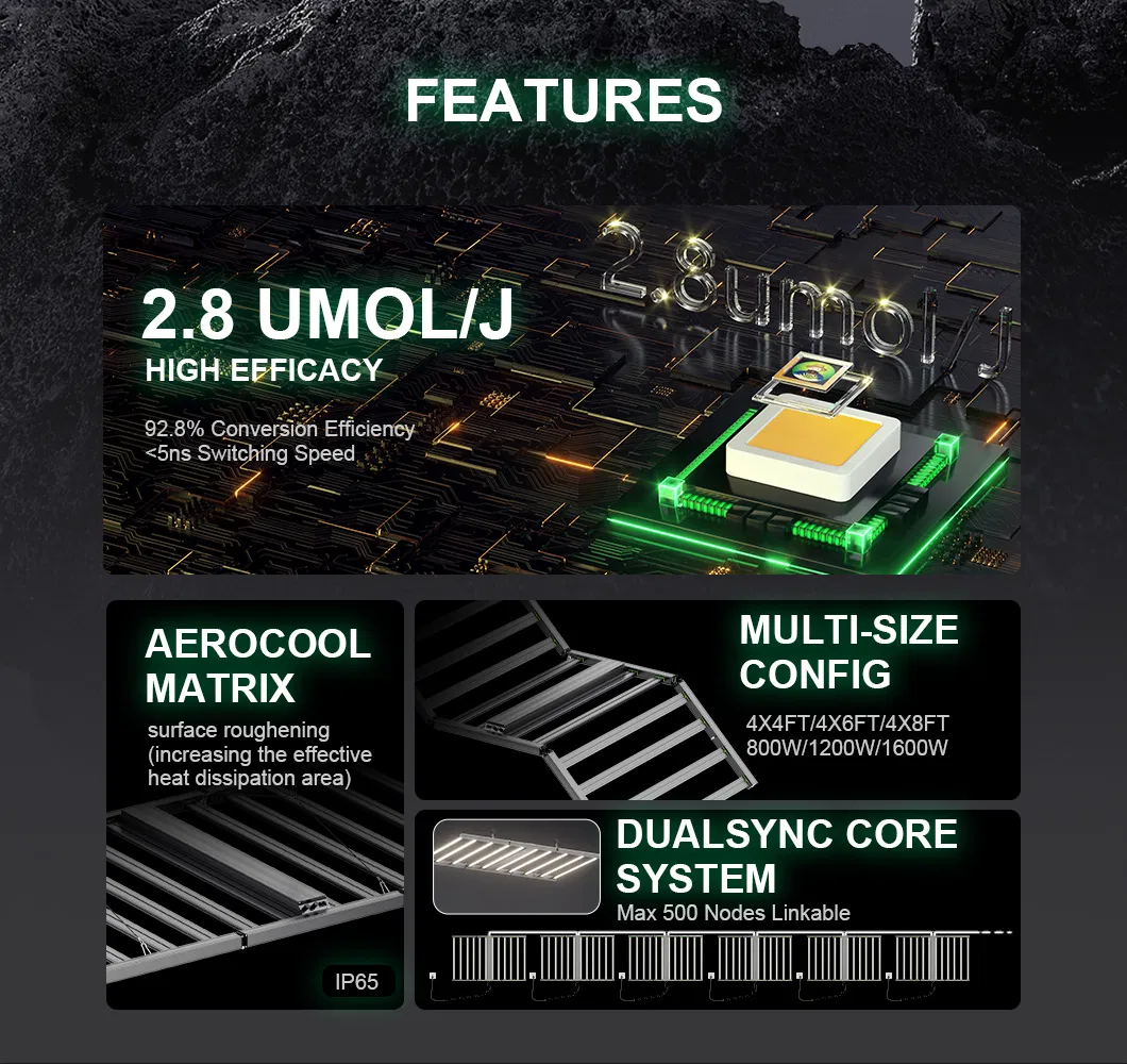 Efficiency LED Grow Light