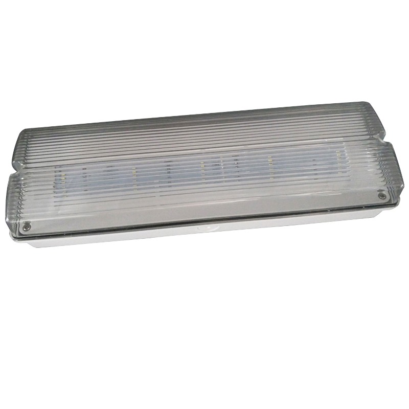 Exquisite Body IP65 Emergency LED Light with High-End Quality for Promotion