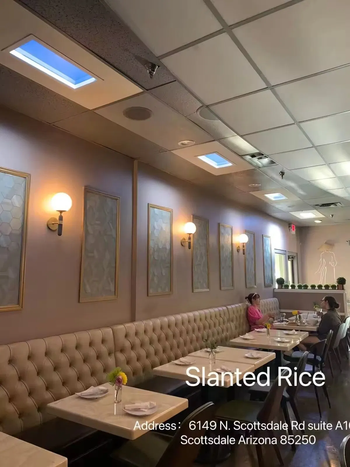 Skylite Circadian Sunshine Panel Light with Solar Power Technology