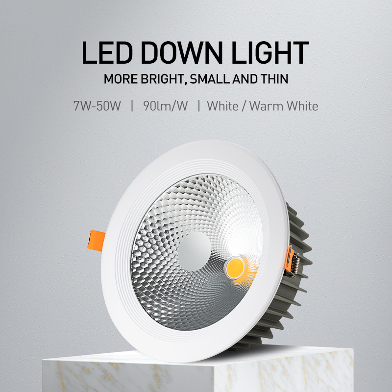 Modern LED Recessed Downlight Ceiling Spotlight for Indoor Spaces Light