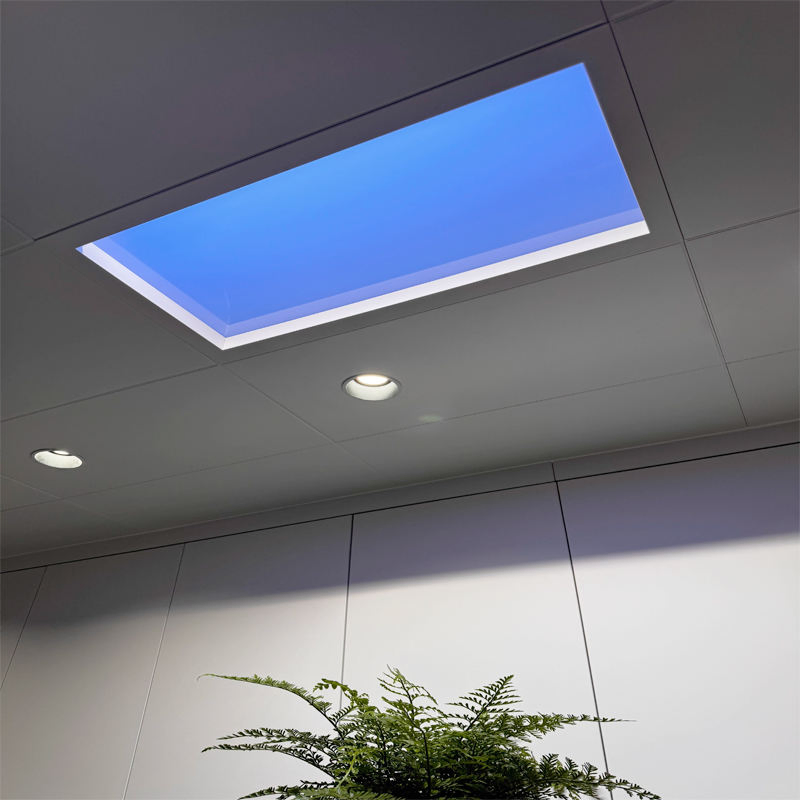 Smart Remote Control Embedded Clear Sky Light LED Skylight Ceiling Panel Light