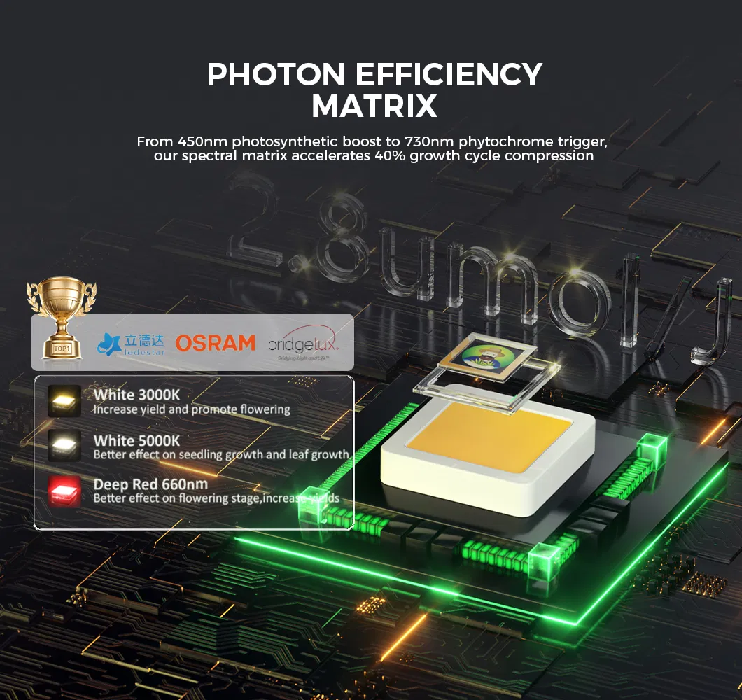 LED Grow Light Performance