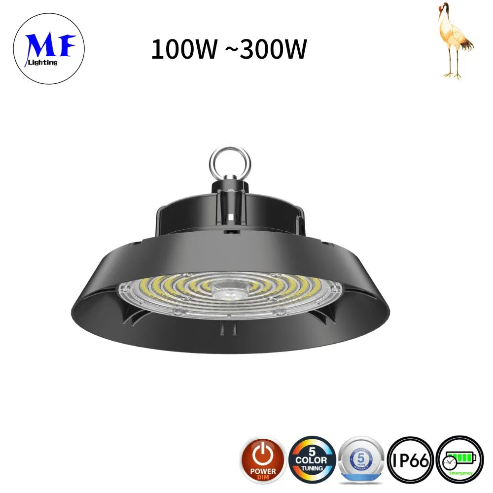 1-10V /Dali Dimming Microwave Sensor Warehouse Light with Power Pack IP66 100W 150W 200W 240W Emergency Kit LED High Bay Lights LED Highbay Light