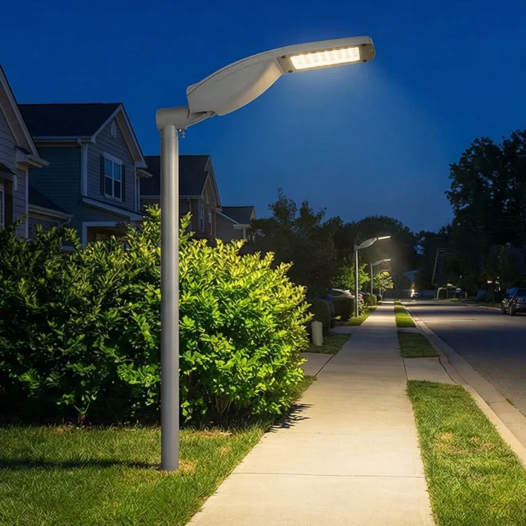 30W Die-Casting Aluminum IP65 Rode Lamp Outdoor LED Street Light