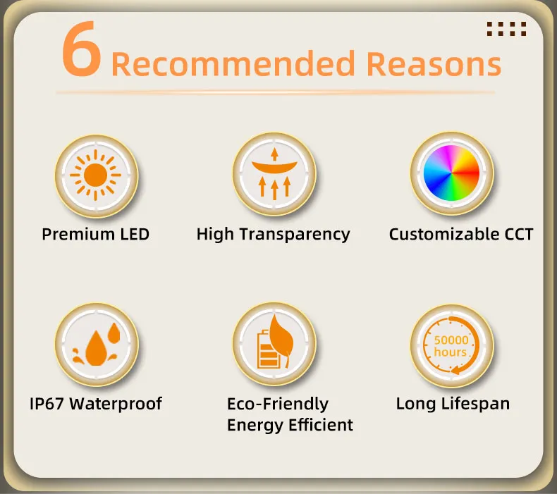 LED Neon Light Details