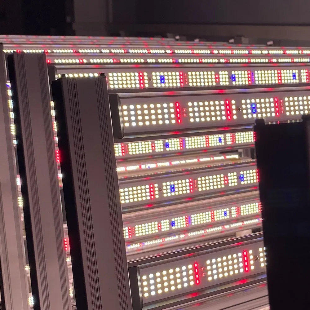 800W Vertical Farming LED Grow Light Full Spectrum + UV/IR Boost for 4X4FT Commercial Growth