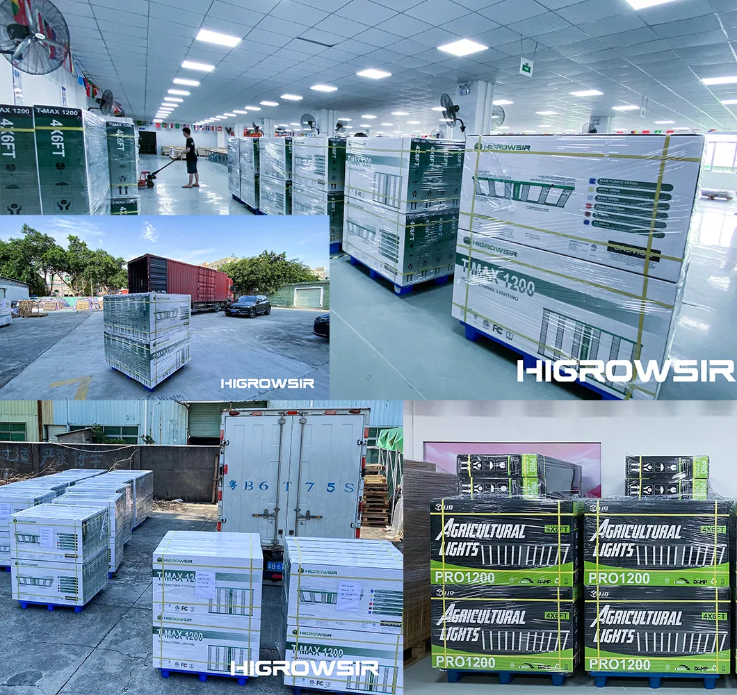 Logistics and Packing