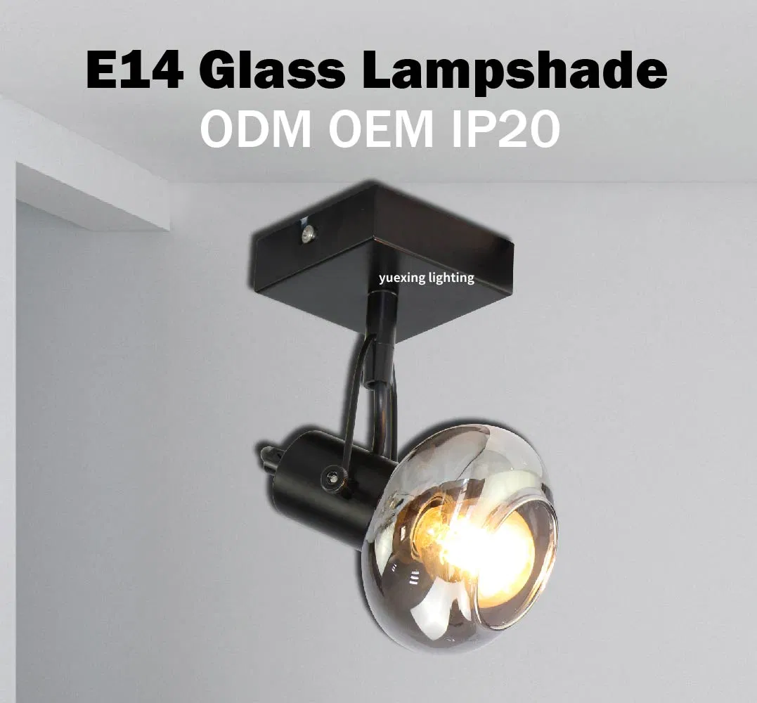 20+ Years Manufacturer OEM/ODM Wall Spotlight Lamp Energy-Efficient E14 Glass Oval LED Spotlight for LED Spot Light Home Lighting for Decorative
