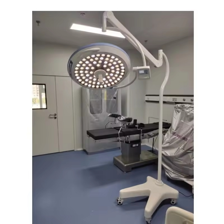 Hospital Medical Operation Theatre Room Double Dome Shadowless Surgery LED Ot Ceiling Surgical Operating Light Dental