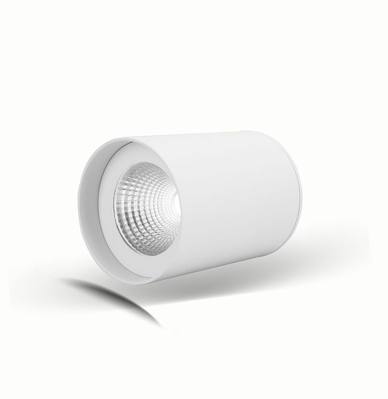 IP65 Surface Mounted LED LED Downlight