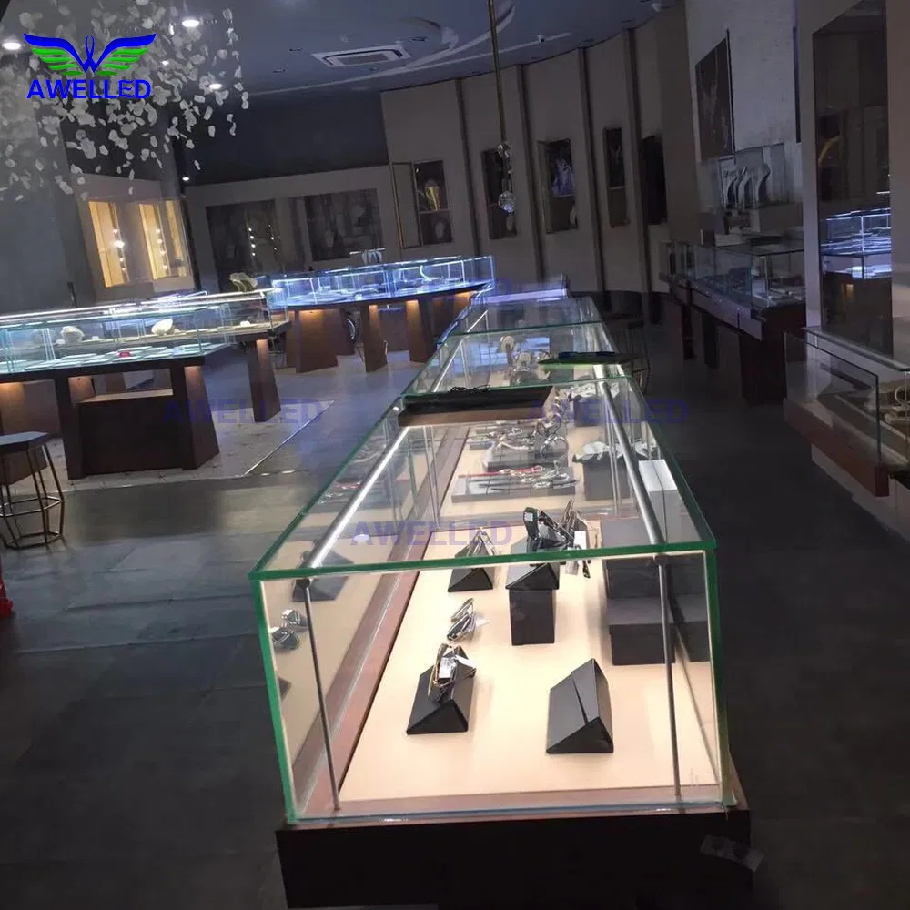 Display Case Project 2