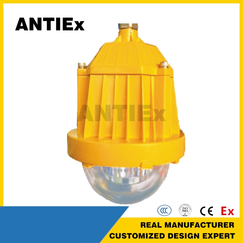 ATEX Explosion Proof Floodlight Anti IP66 LED Flood Light for Offshore Drilling Platforms Refineries