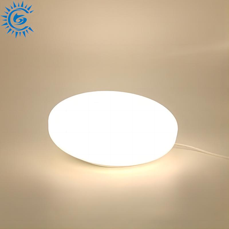 Waterproof Dimming Power Dimming LED Ceiling Light for Shower Light Bathroom Balcony