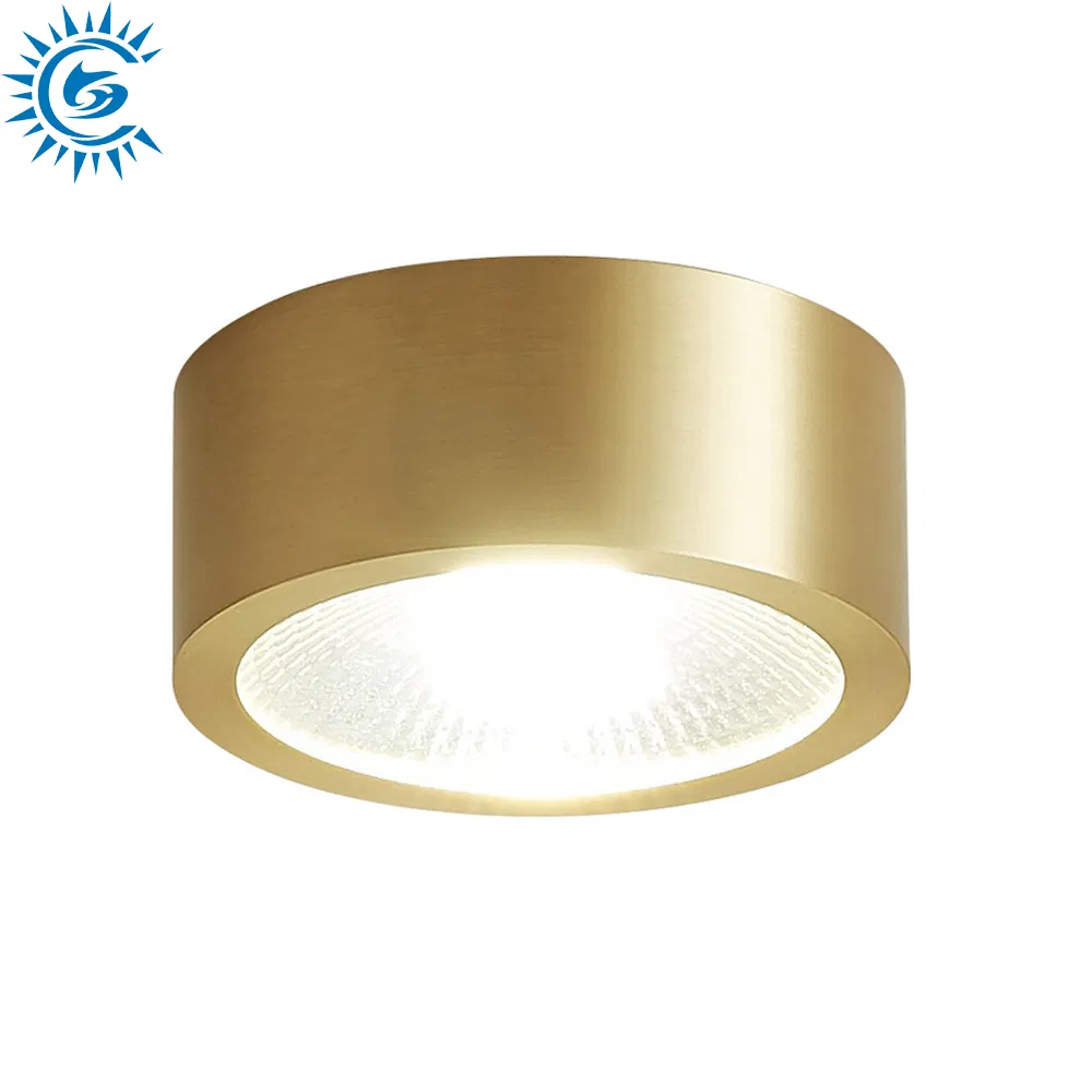 3W 5W 7W CCT IP65 Thin Brass Gold Black COB LED Corridor Aisle Porch Mounted Ceiling Spotlight