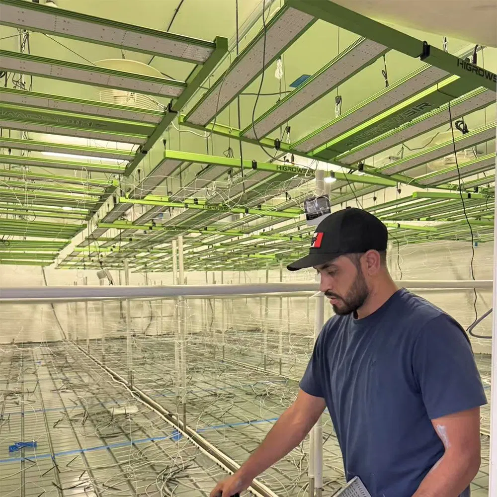 High Energy UV IR 1200W 4X6FT LED Grow Light Professional Customized Full Spectrum