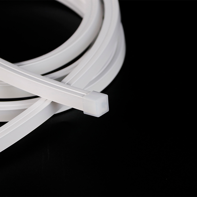 24V Outdoor IP65 Waterproof 10*10mm Silicon Flexible Tube Landscape Decoration Lighting Wall Panel Park Party LED Neon Strip Light