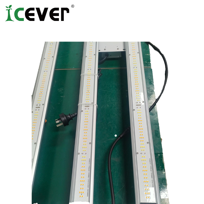 LED Plant 600 Watt V3 Grow Light Foldable 4X4 Grow Lights (EMC)