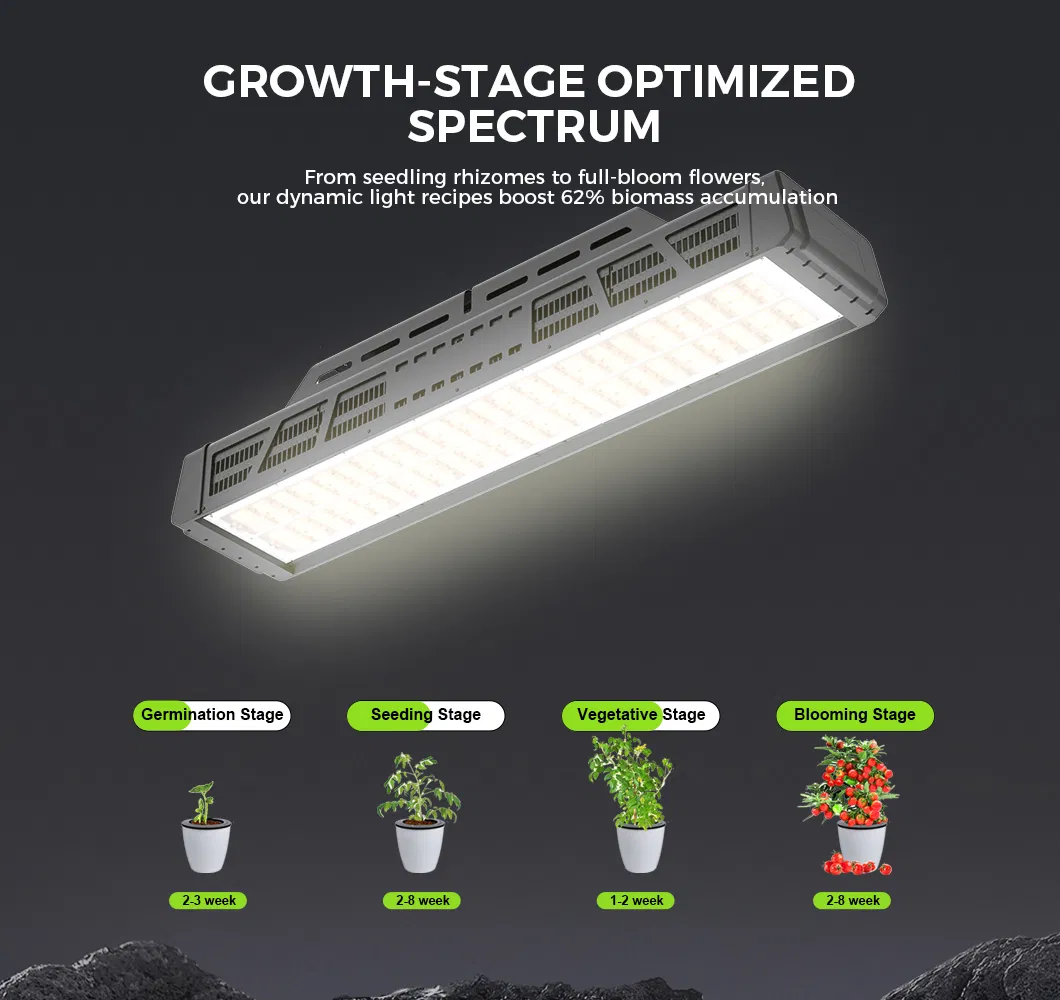 LED Grow Light